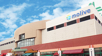 モリーブ（molive）