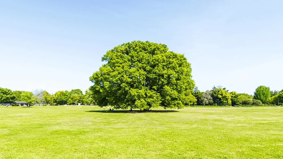 サステナブルファイナンス