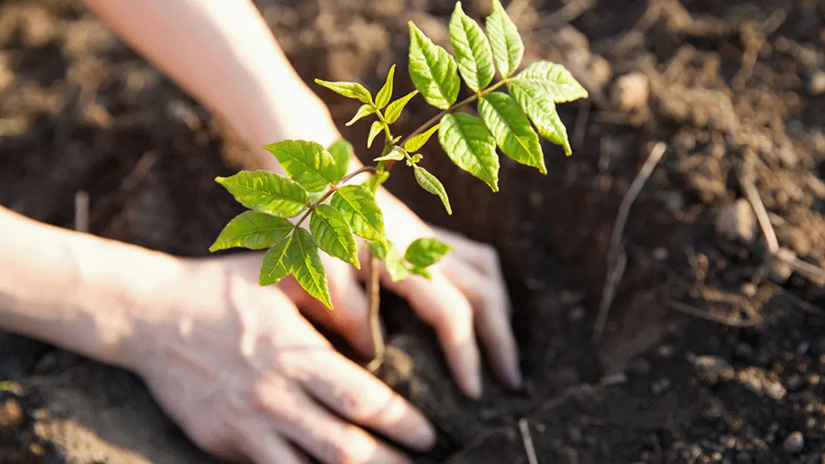 環境方針・環境マネジメントシステム