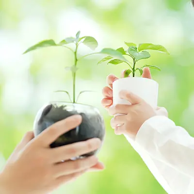 サステナビリティマネジメント